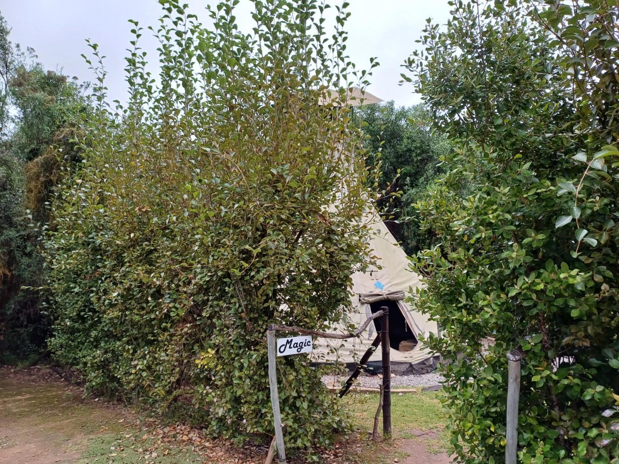 Assegai Rest Vila Robertson Exterior foto
